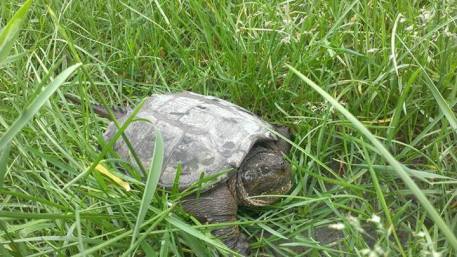 10300175_10154195767805401_3054065057761747633_n