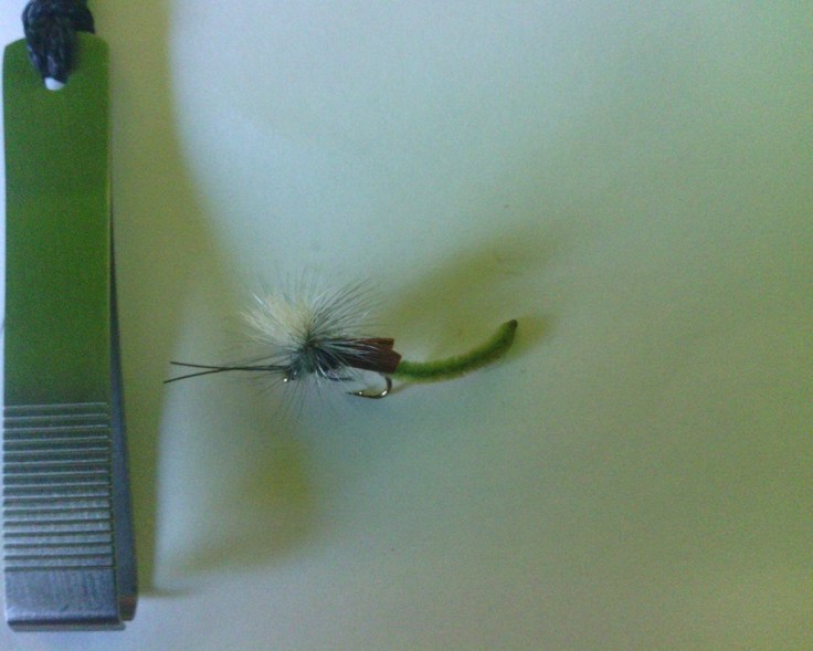 Green Headlight Caddis