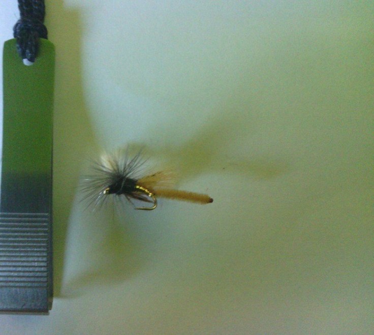 Tan Spotlight Caddis