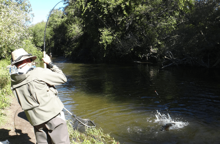 Bruno_Mayot-fight-chinook