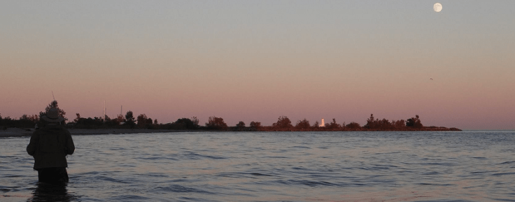 Simon_C_Tetreau-hori-footer