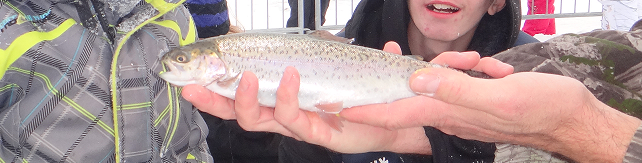 fete-neige-magog-peche-truite