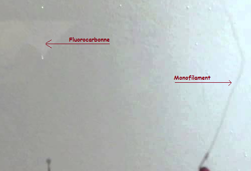 fluoro vs mono