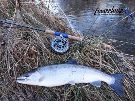 12666364_10207443999691620_1672574055_n