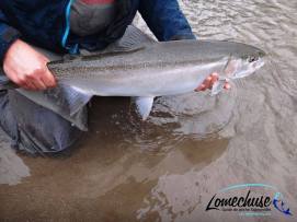 12735907_10207443999531616_292411438_n