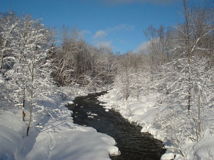 Salmon river hiver