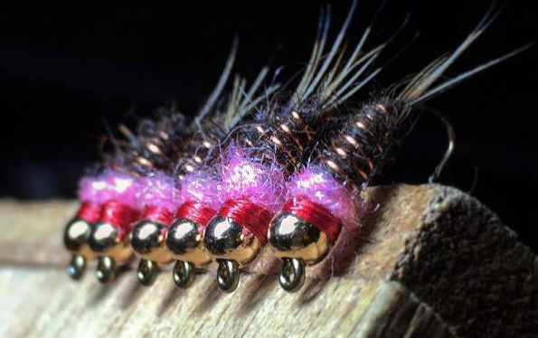 frenchie nymph Mathieu Desbiens